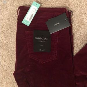 Edyson - Windsor Corduroy Straight Leg Jean